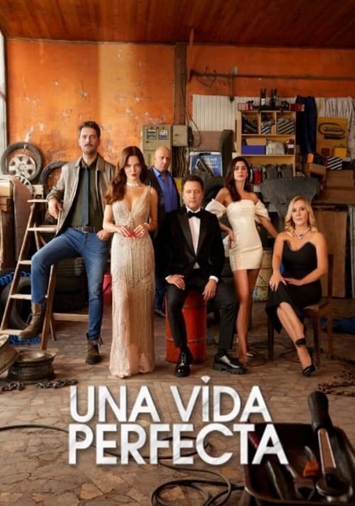 Mi Maravillosa vida